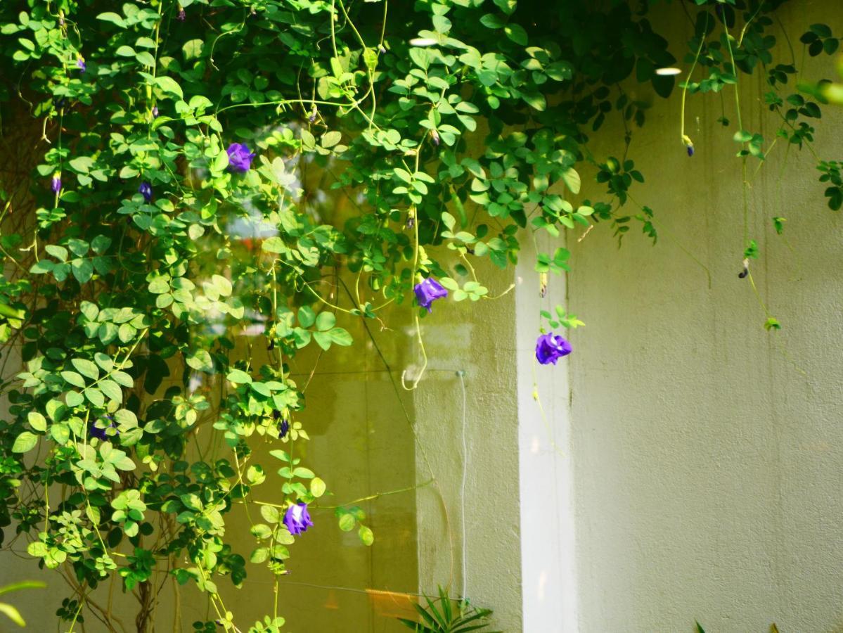 Cua Bien Homestay Haiphong Exterior foto