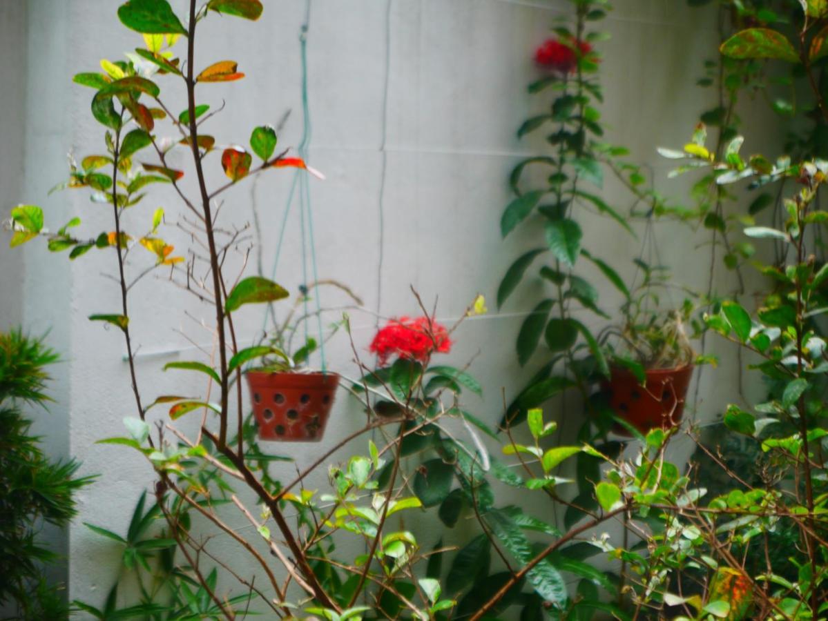 Cua Bien Homestay Haiphong Exterior foto