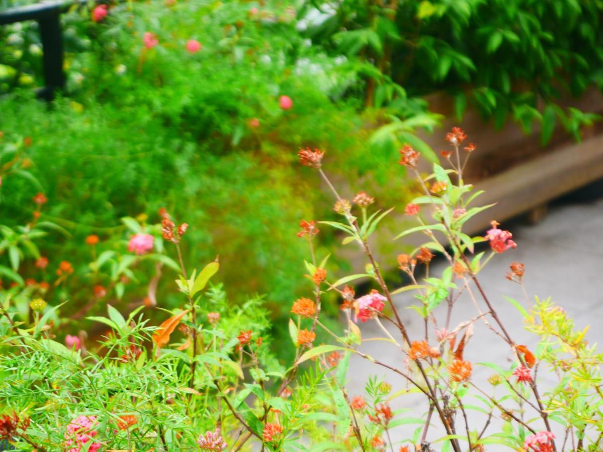 Cua Bien Homestay Haiphong Exterior foto