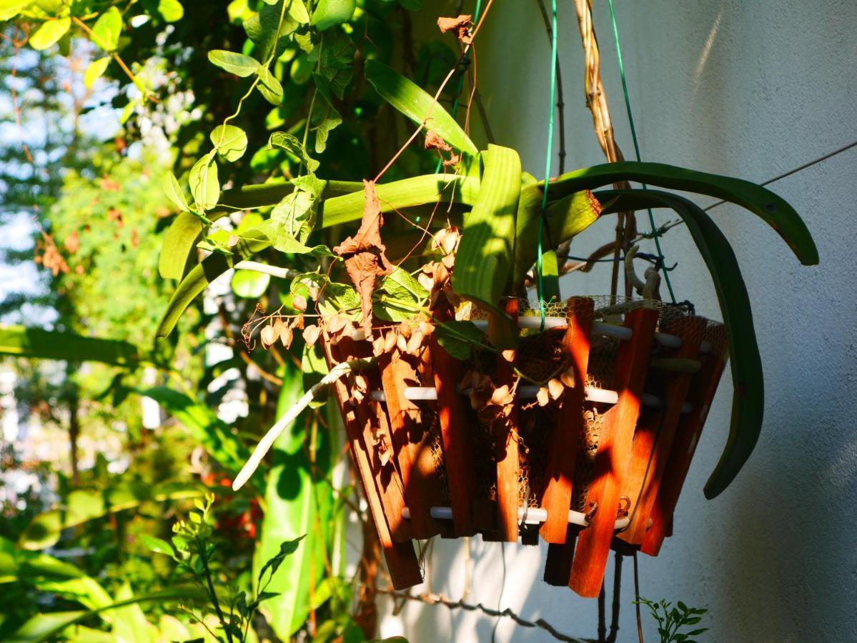 Cua Bien Homestay Haiphong Exterior foto